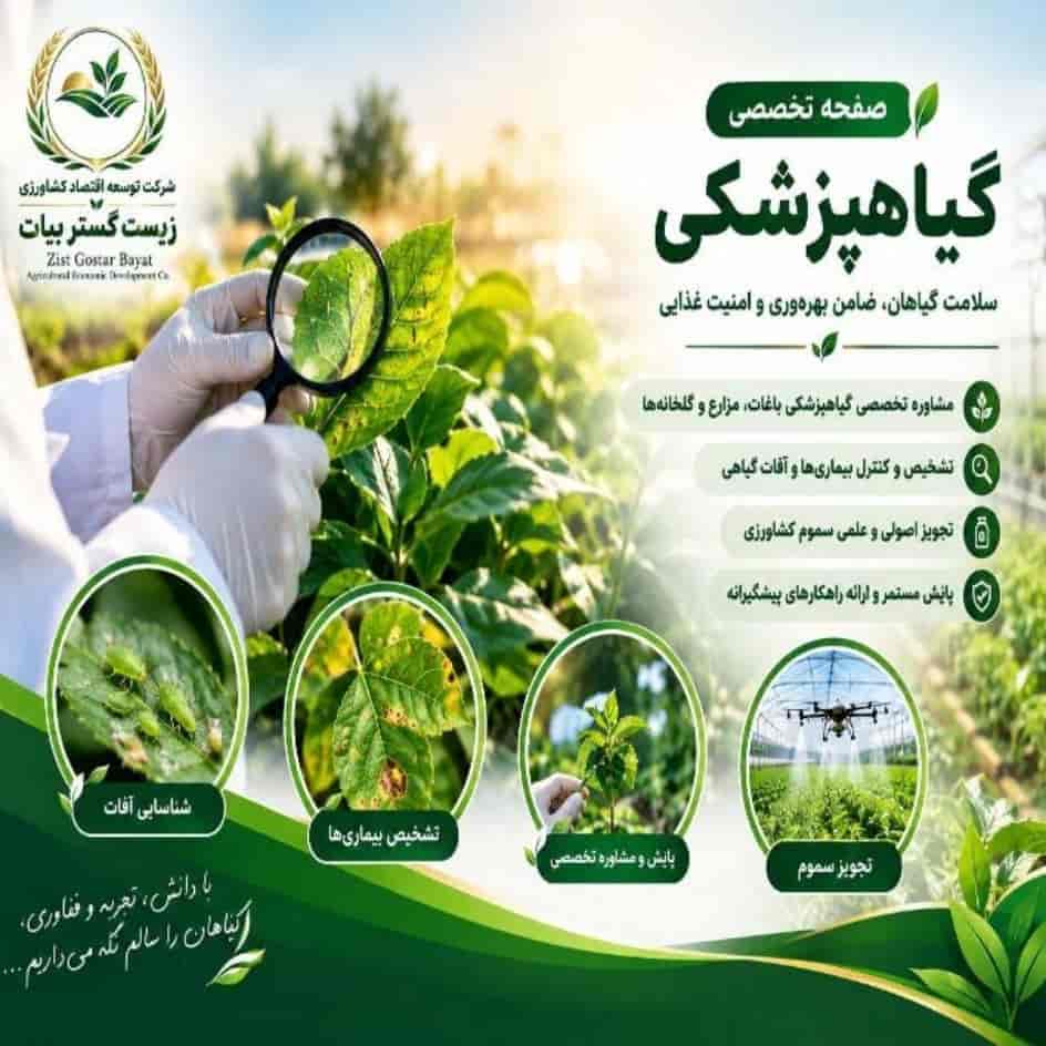 تشخیص آفات و بیماری‌ های گیاهی در باغات، مزارع و گلخانه