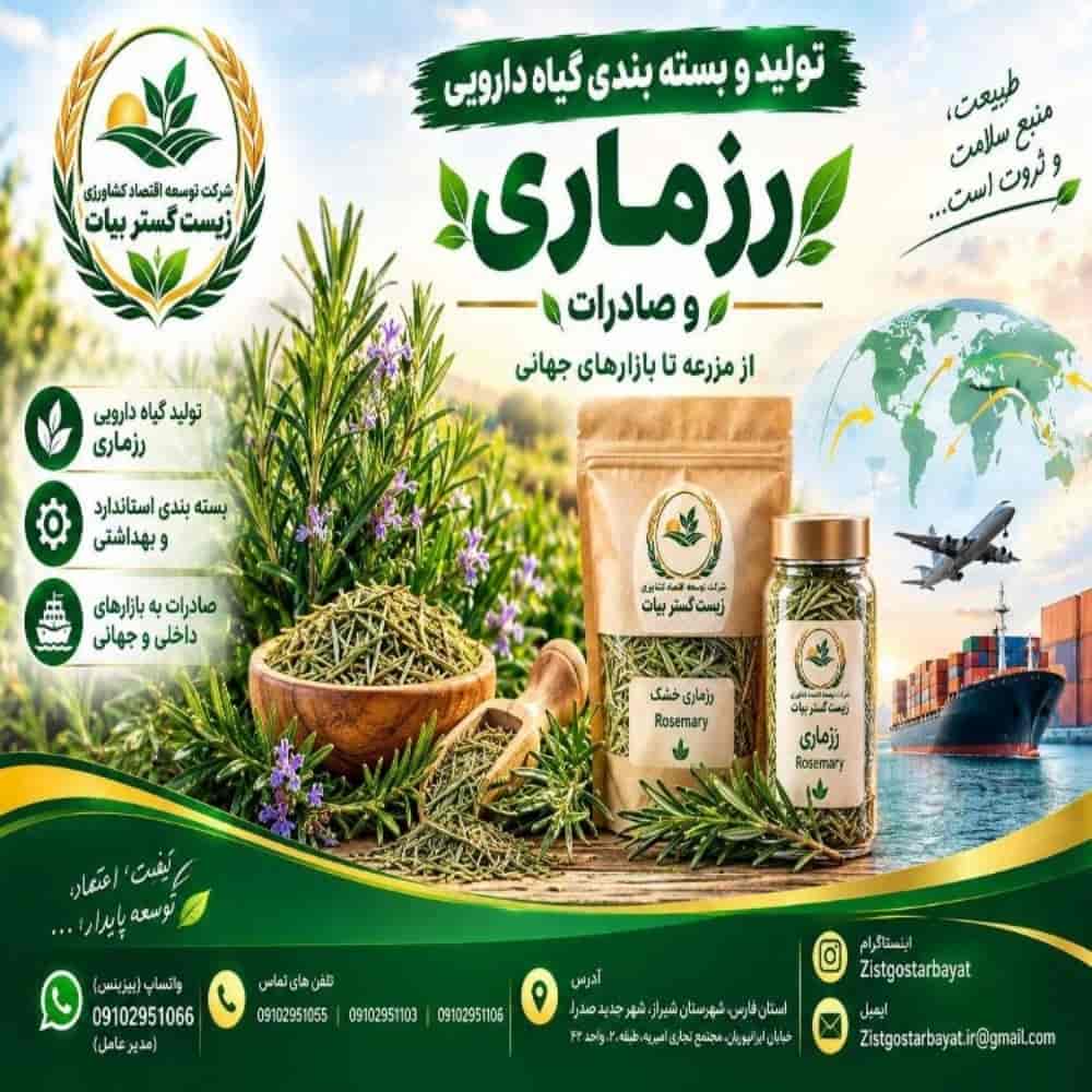 تولید و بسته بندی رزماری