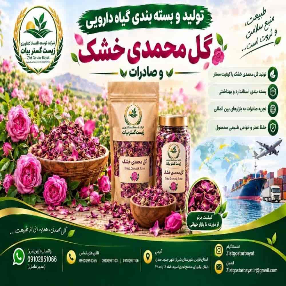 تولید و بسته بندی گل محمدی خشک