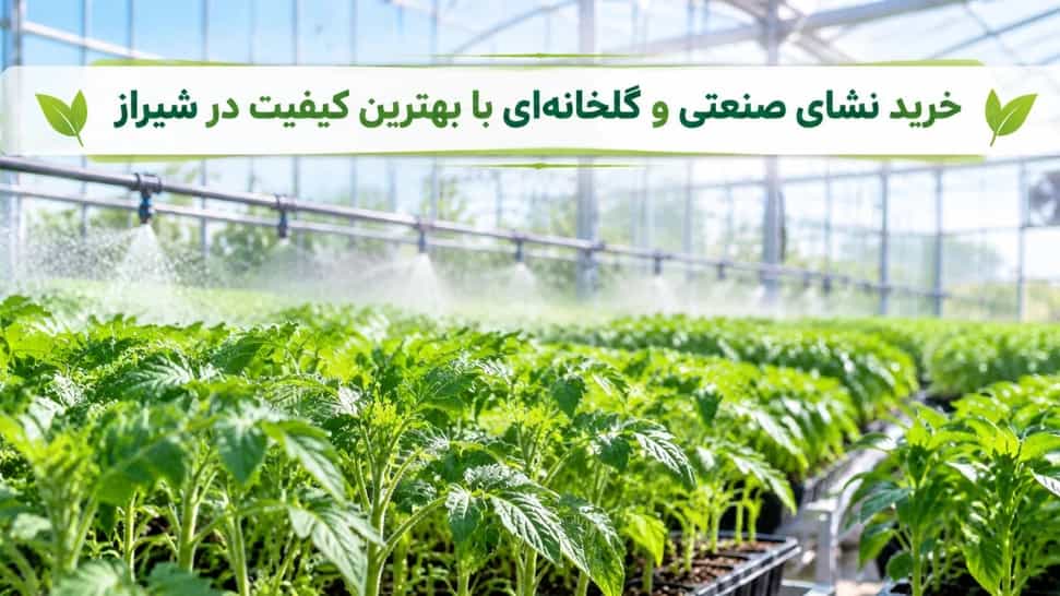 خرید نشای صنعتی و گلخانه‌ای با بهترین کیفیت در شیراز