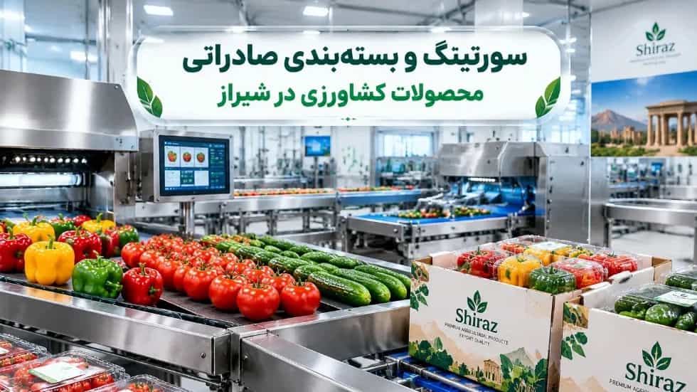 سورتینگ و بسته‌بندی صادراتی محصولات کشاورزی در شیراز