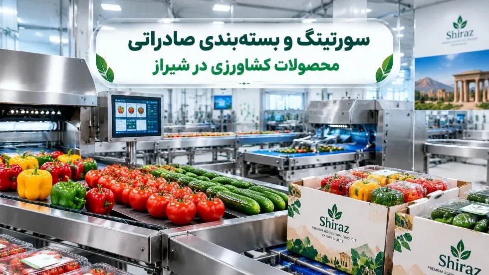سورتینگ و بستهبندی صادراتی محصولات کشاورزی در شیراز سورتینگ و بستهبندی صادراتی محصولات کشاورزی در شیراز
